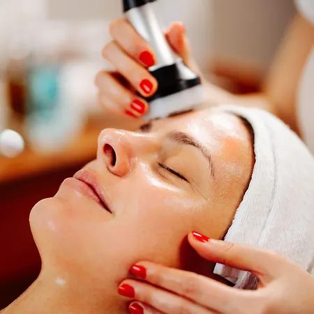 特尔蒙卡拉瓦肯豪弗酒店 4* 菲拉赫